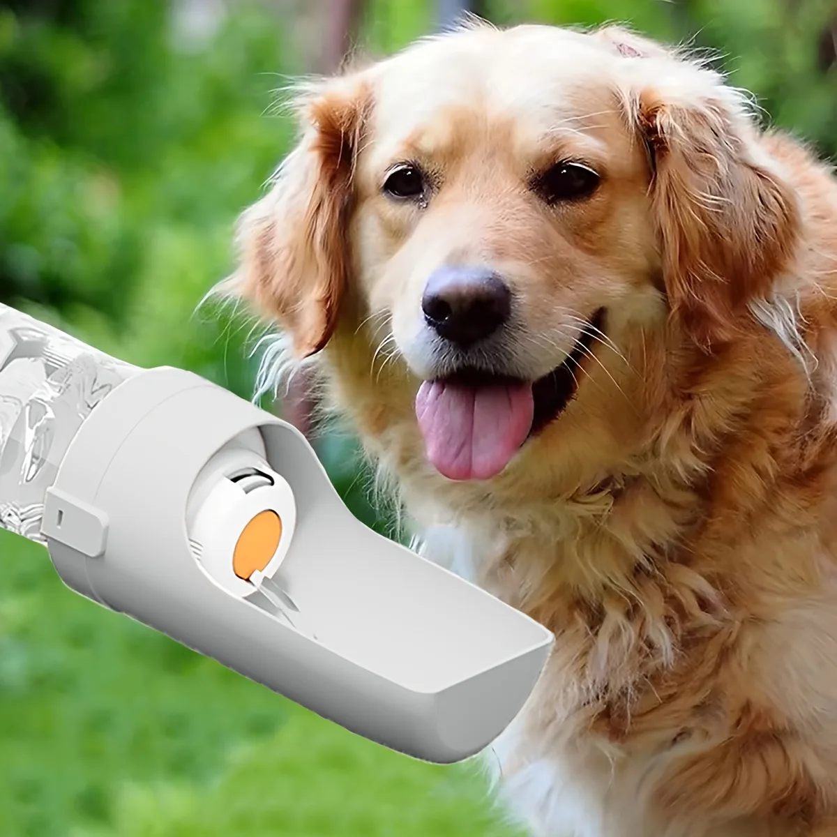 Portable Leak-Proof Dog Water Bottle with Built-In Bowl & Carbon Filter - Vue 10