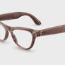 Pêche transparent brillant, verres Transitions® marron – vidéo Transitions®